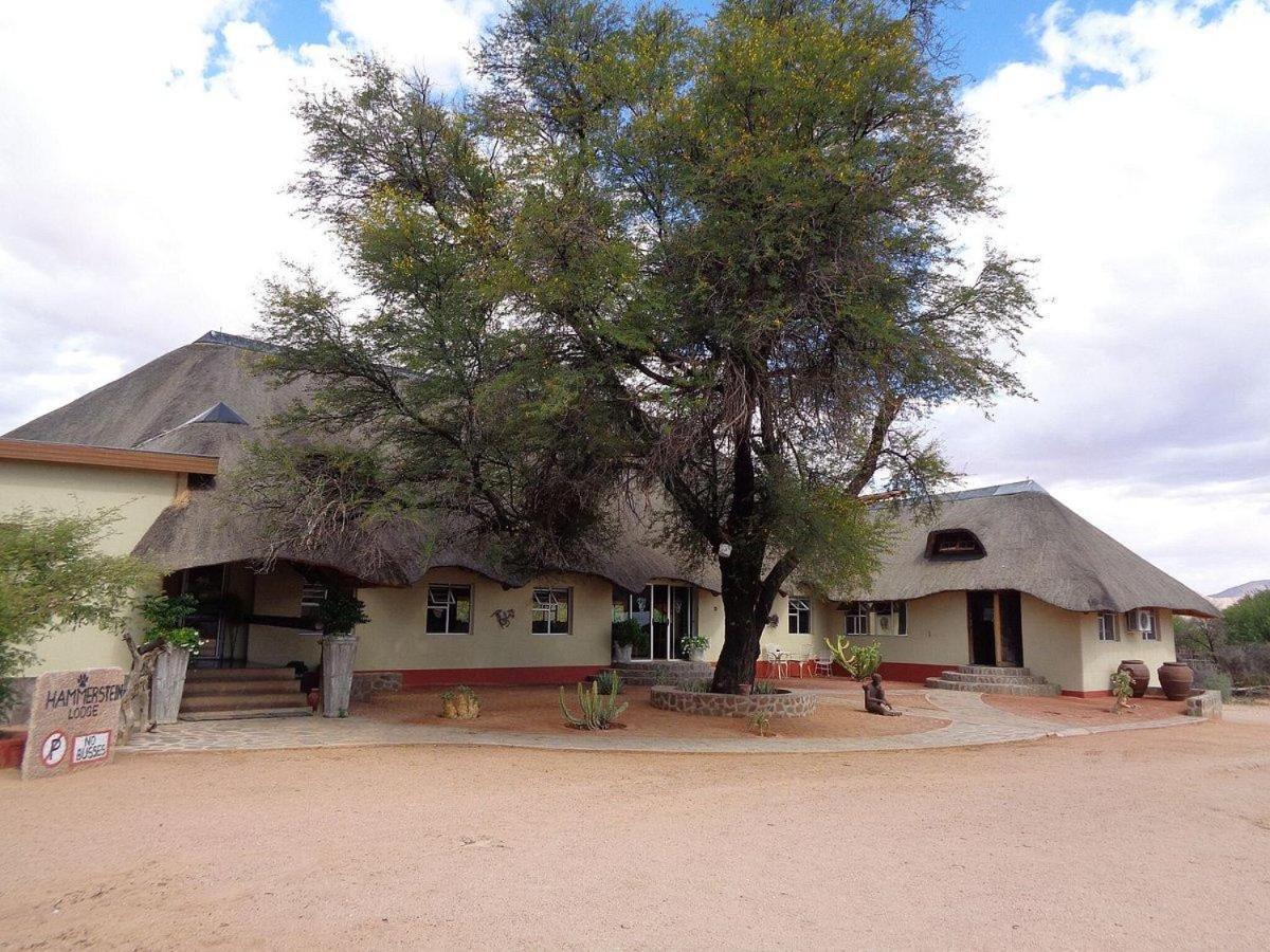 Hammerstein Lodge المظهر الخارجي الصورة